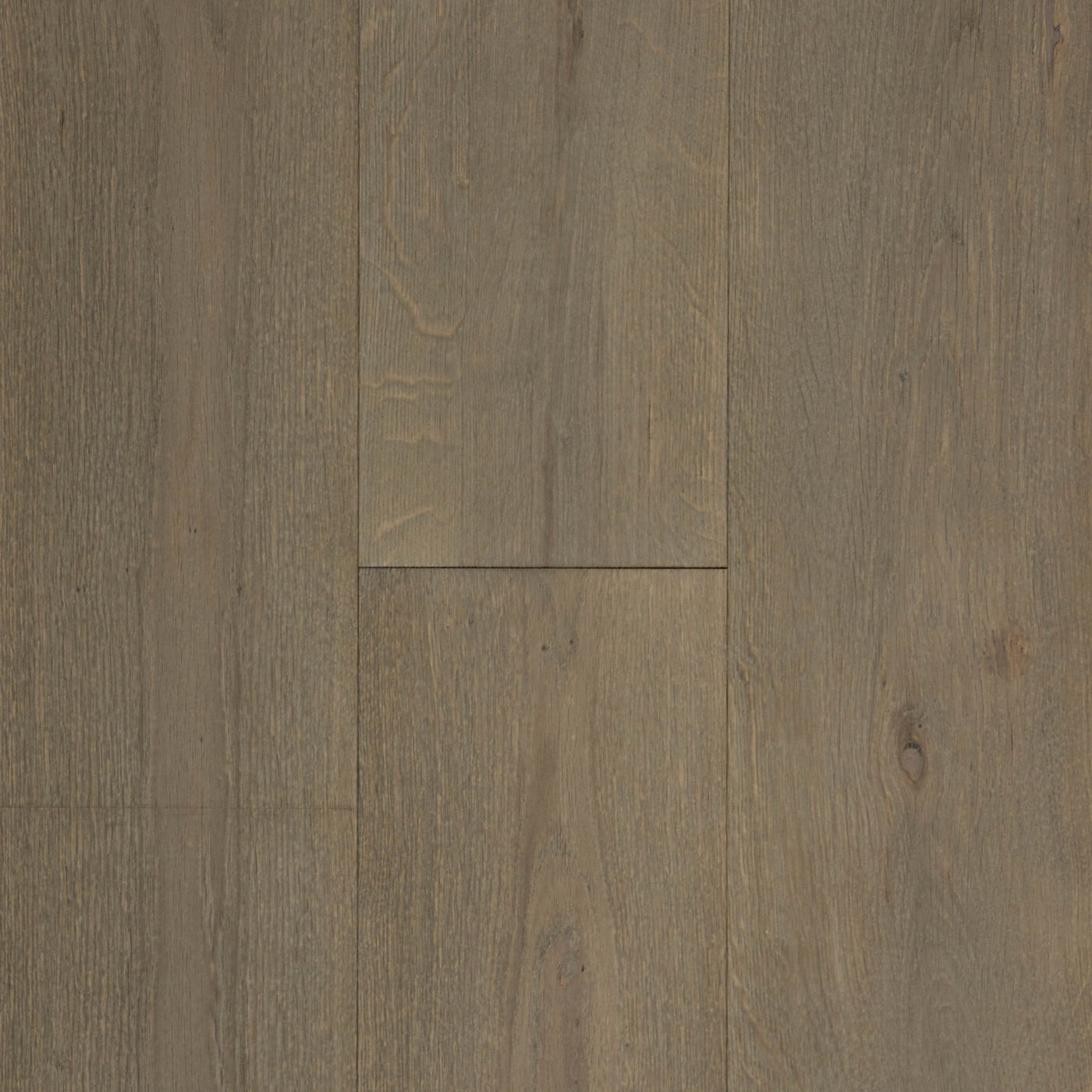 Inzhenerna-Doshka-Arbofari-Ego-Oak-Basil