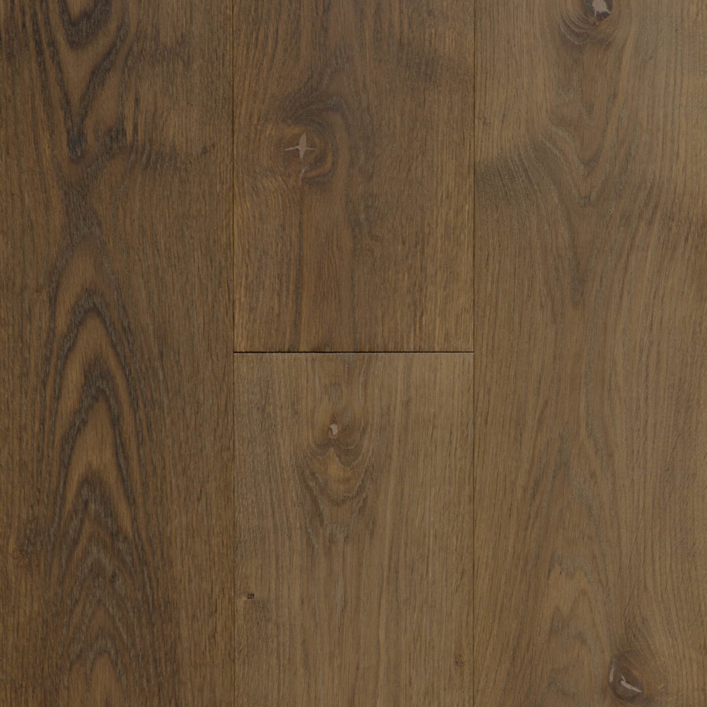 Inzhenerna-Doshka-Arbofari-Ego-Oak-Coffee