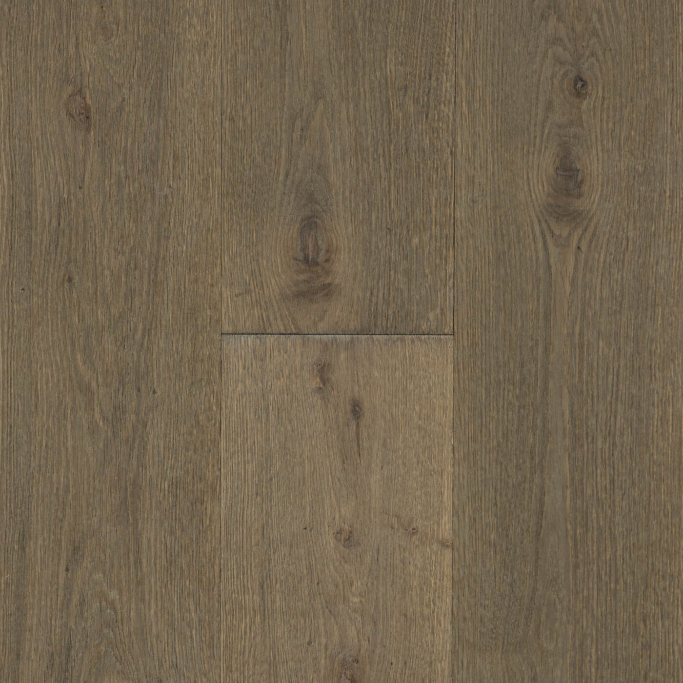 Inzhenerna-Doshka-Arbofari-Ego-Oak-Moss-hand