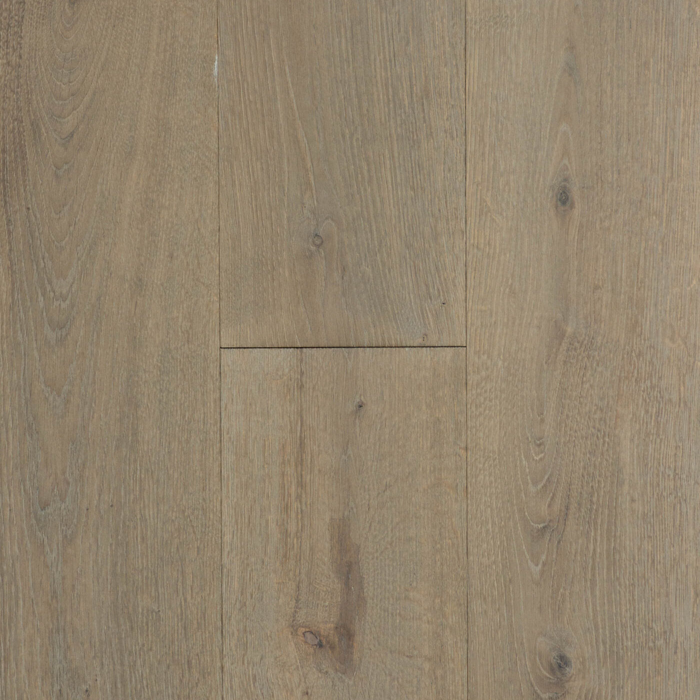 Inzhenerna-Doshka-Arbofari-Ego-Oak-Send